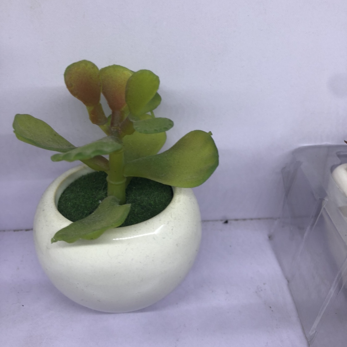 The simulation succulent plant contracted Norse wind false flower potted miniature bonsai mini meat plastic flower table top decorations 3 thumbnail