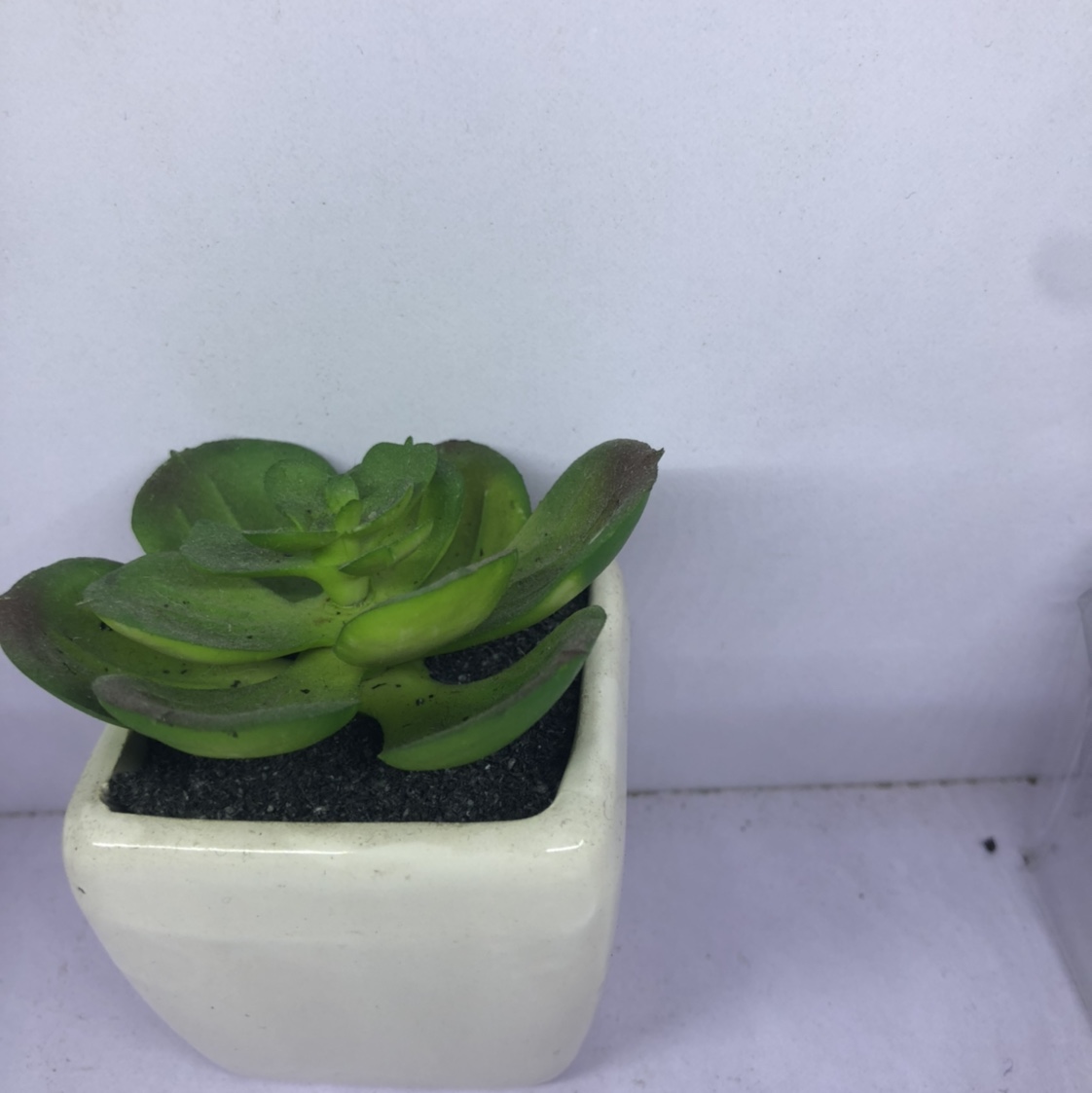 Simulation succulent plants contracted Norse wind false bonsai bonsai bonsai bonsai mini meat plastic flowers tabletop decorations 24