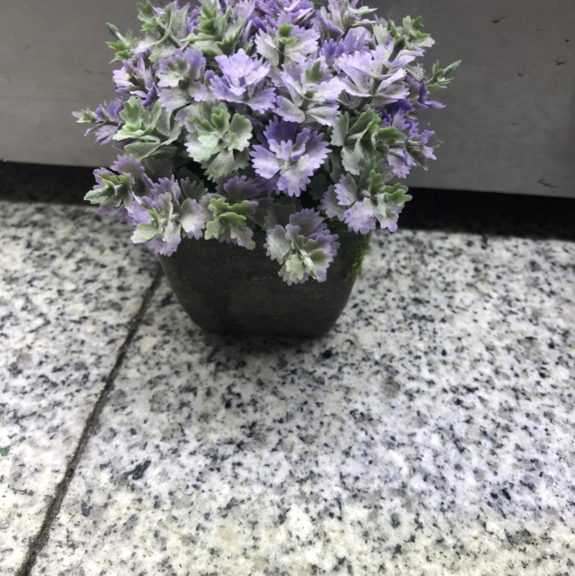 仿真多肉北欧小摆件ins小盆栽装饰 绿植摆件桌面可爱迷你壁挂植物
