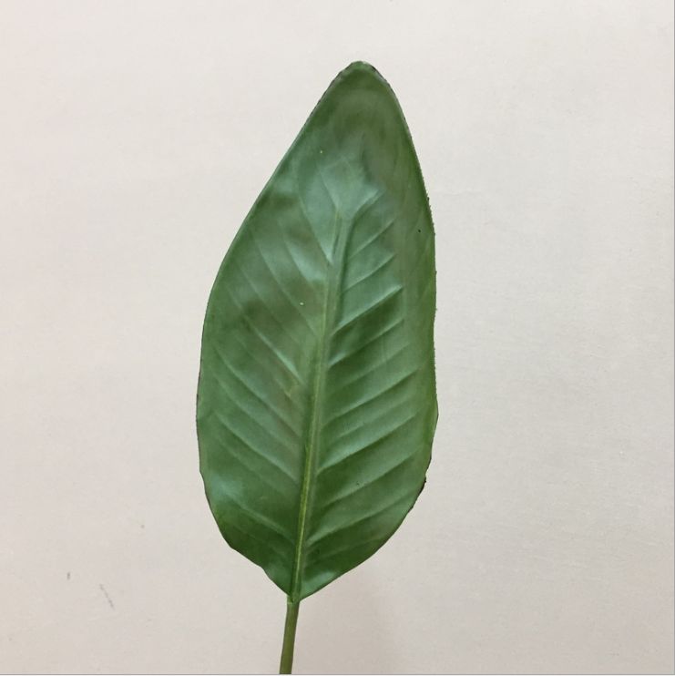 Yiwu Selection Ins wind Nordic simulation plants simulation flower green leaves bird of paradise leaves artificial flower decoration floral art