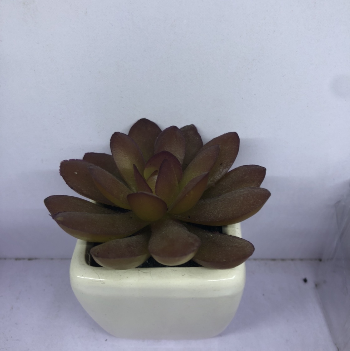 Emulation succulent plant contracted Norse wind false flower potted miniature bonsai mini meat plastic flower table top decorations 15 thumbnail
