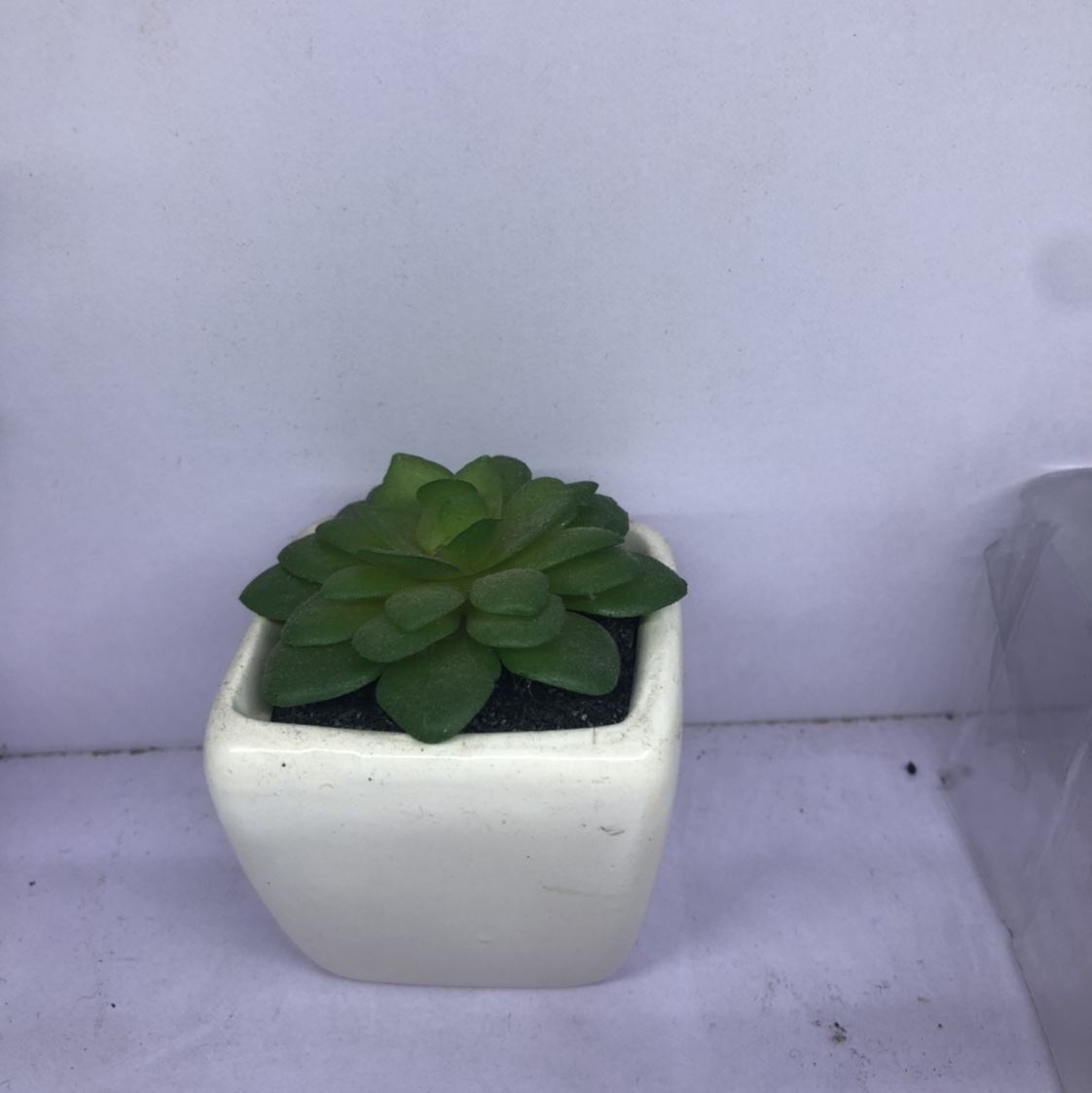 Emulation succulent plant contracted Norse wind false flower potted miniature bonsai mini meat plastic flower table top decorations 12 thumbnail