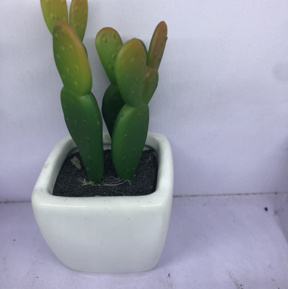The simulation succulent plant contracted Norse wind false flower potted miniature bonsai mini meat plastic flower table top decorations 21 thumbnail