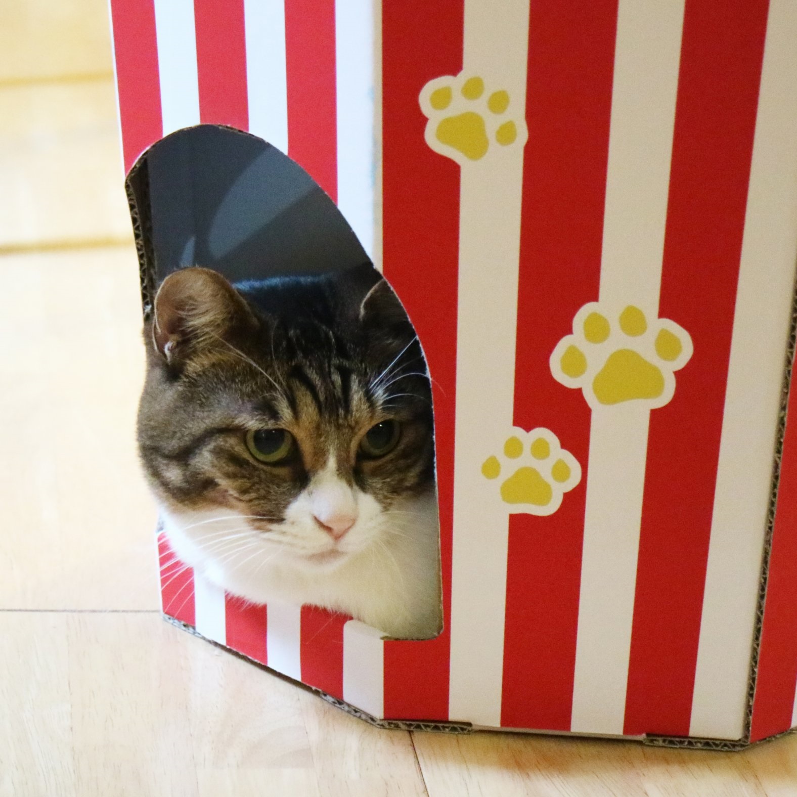 新款瓦楞纸猫窝猫房子逗猫玩具 薄荷纸箱猫抓板磨爪玩具 猫沙发详情图2