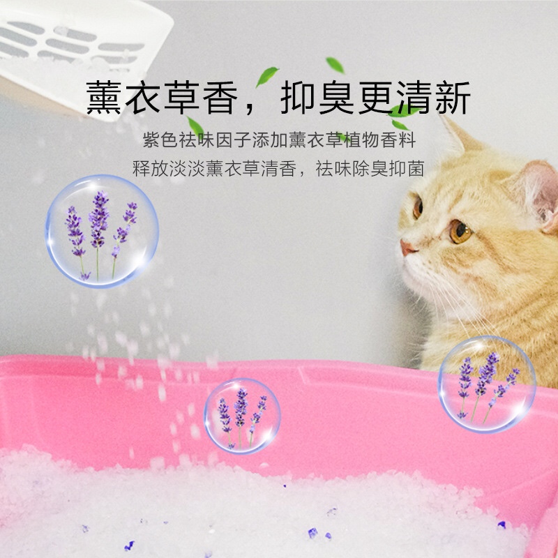 水晶猫砂  无尘非豆腐膨润土砂渣猫咪用品猫沙除臭剂伴侣产品图