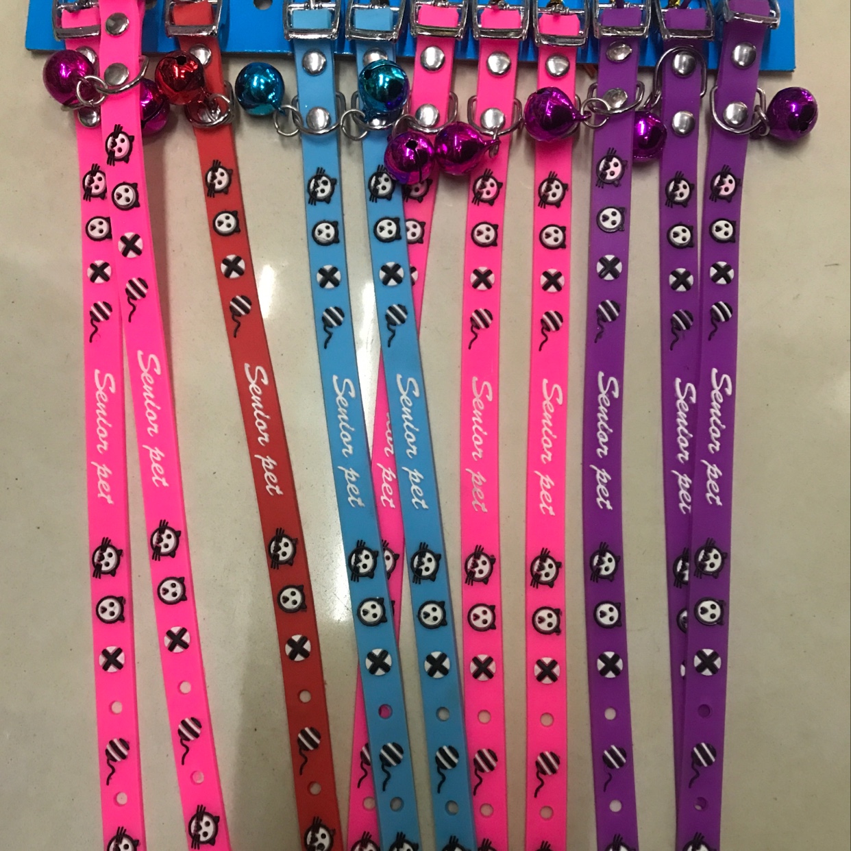 宠物项圈实物图