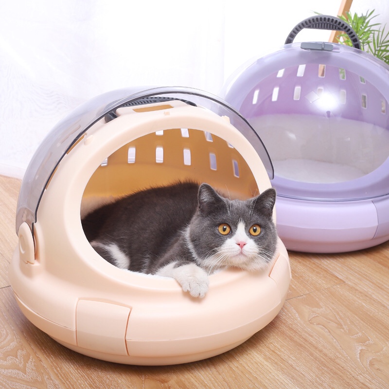 猫猫包、箱实物图