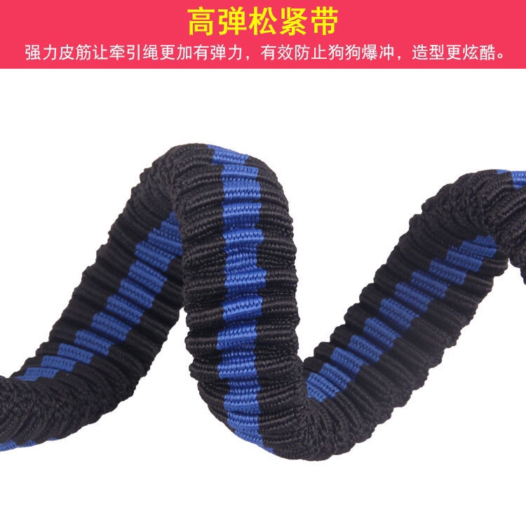 狗狗牵引实物图