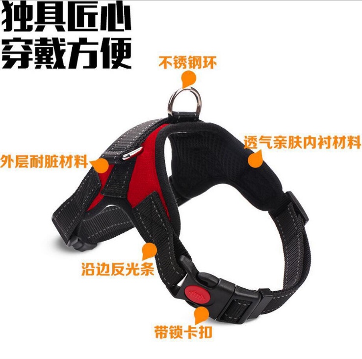 狗狗牵引实物图