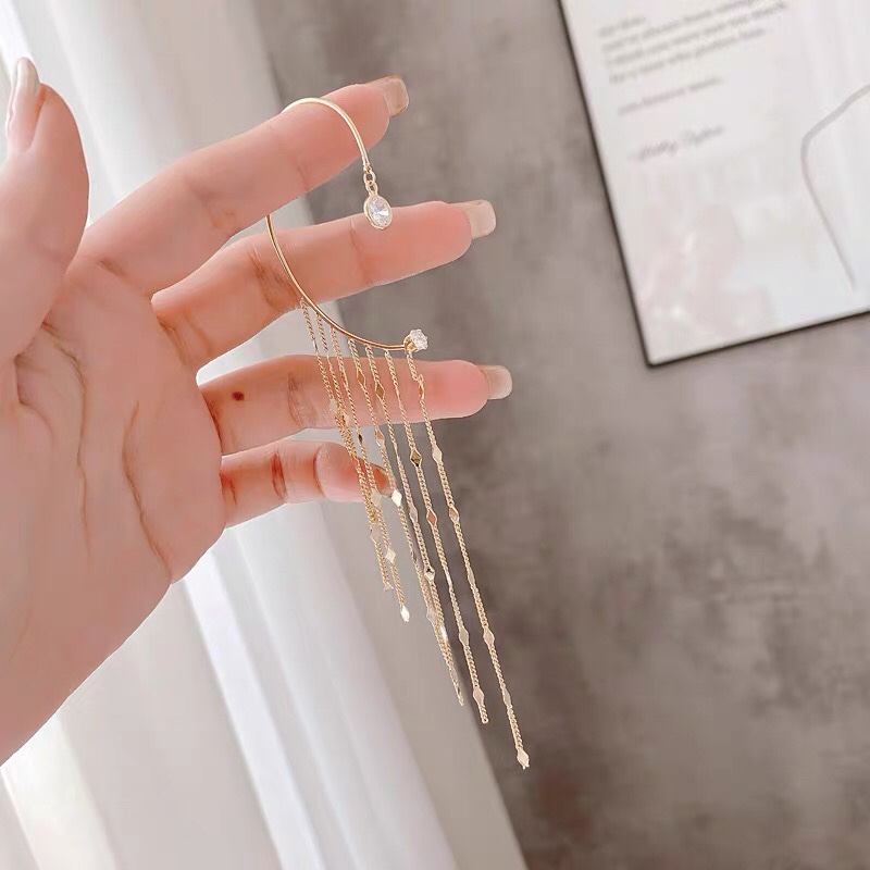 Fashion earrings