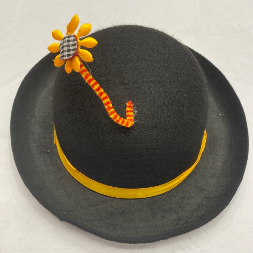 Lincoln the Clown's round hat Item Picture