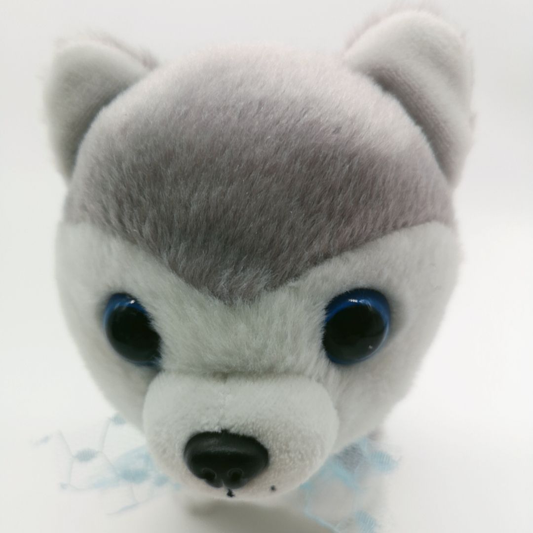 Yiwu manufacturer customizes children's electric plush toys, simulated music puppies that can bark and walk, electronic pets Application Scenario