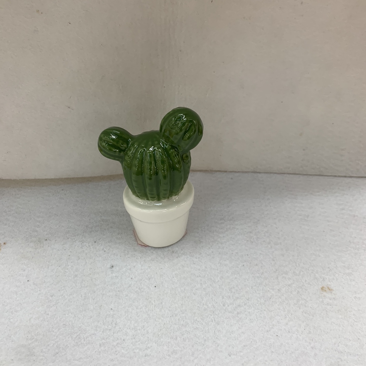 Double bulb cactus thumbnail