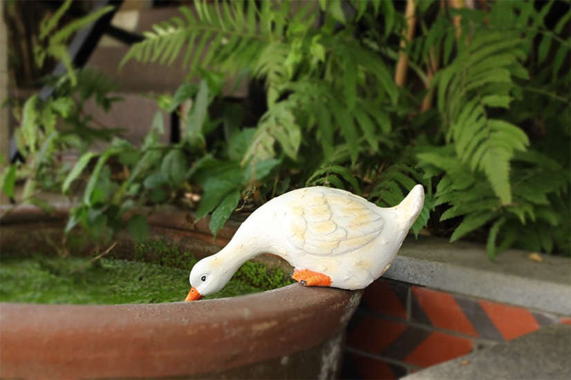 喝水鸭子三个规格  不同尺寸不同价格产品图