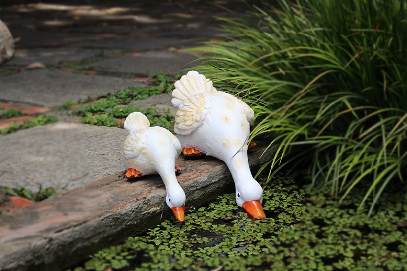 喝水鸭子三个规格  不同尺寸不同价格细节图