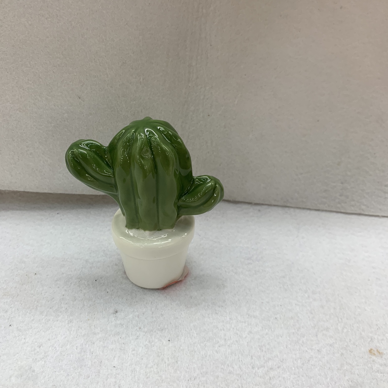 The cactus 1 thumbnail