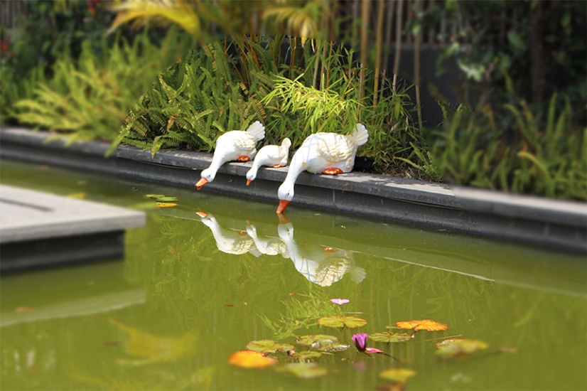 其他肉禽制品实物图