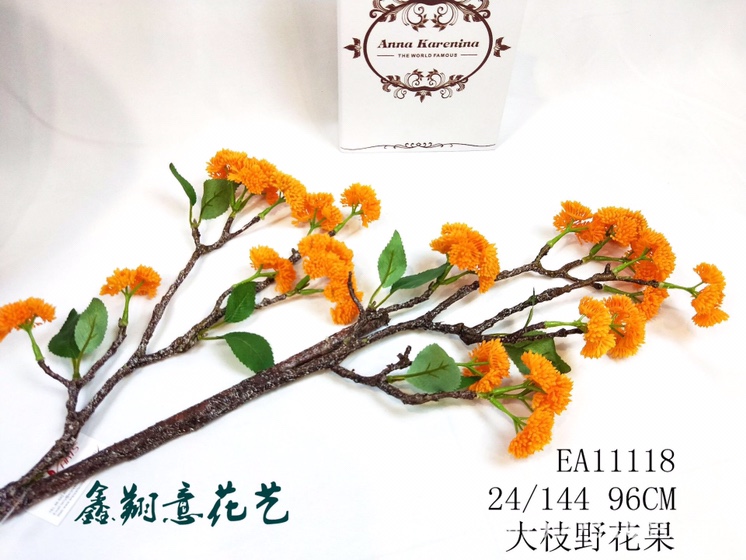 大枝野花果产品图
