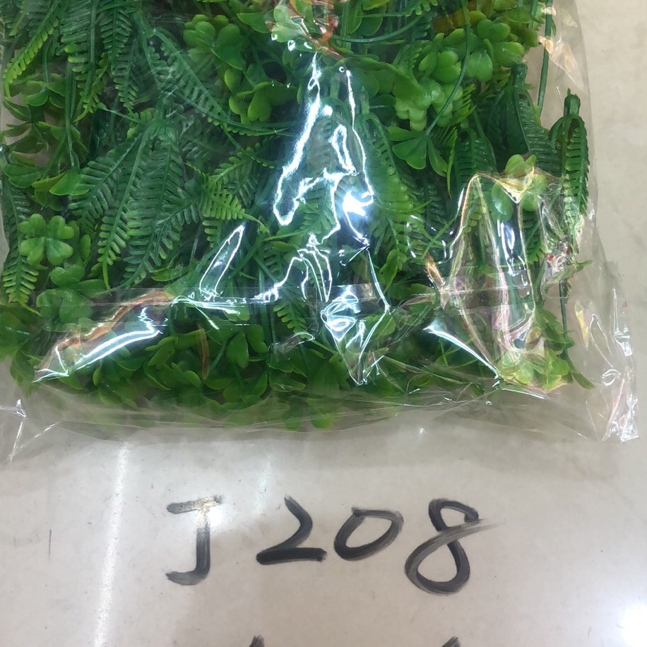 J208水草