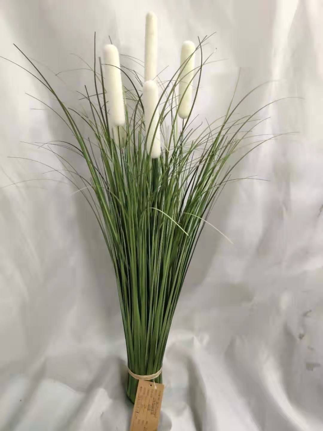 5头香肠草桶