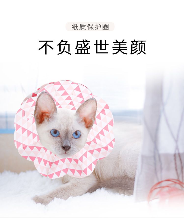 宠物纸质伊丽莎白圈头套 猫咪软脖圈 防咬防舔项圈，狗狗美容圈