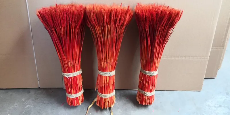 Dried flower imitation flower, wheat decoration imitation flower handicraft dried flower branch millet barley reed Queen Motherwort water willow dried flower immortal flower ash peony rose sunflower thumbnail