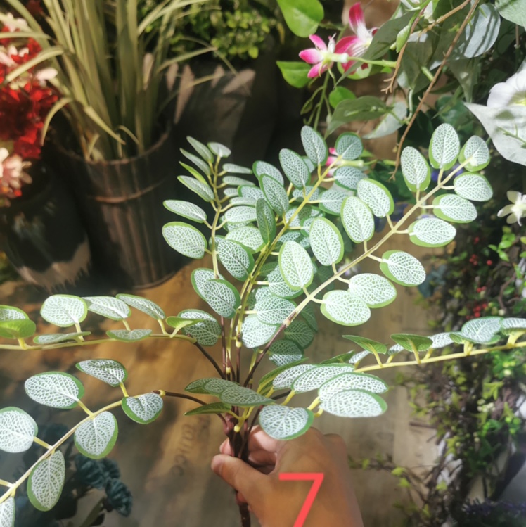 仿真植物假树叶红色枝杆豆花树叶槐树叶子DIY背景墙装饰绿叶