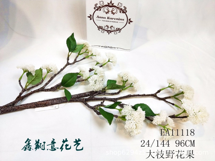 大枝野花果细节图