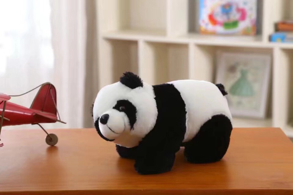 باندا صغير