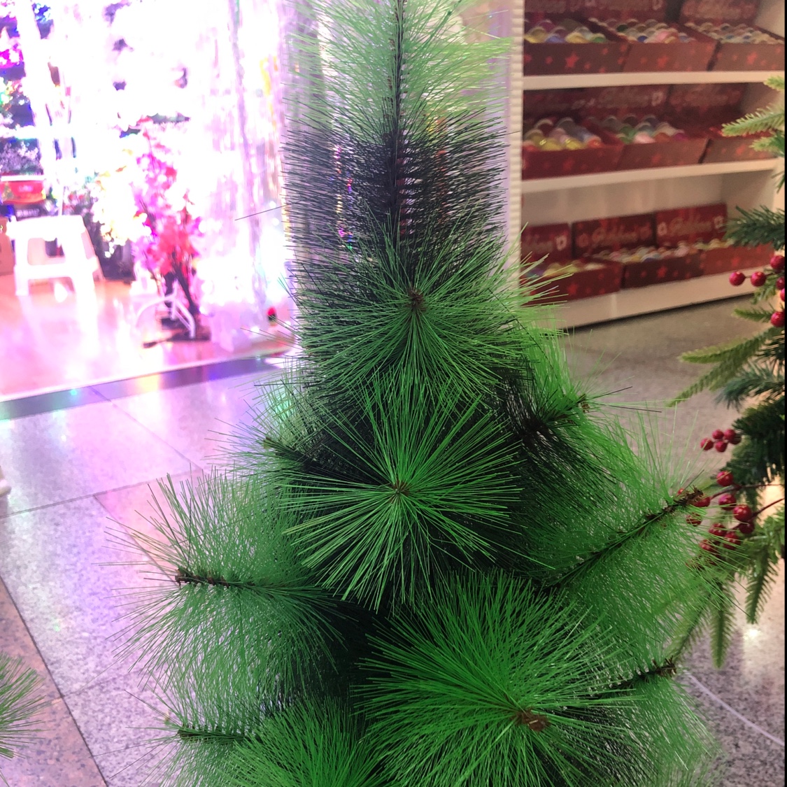 Small Christmas tree