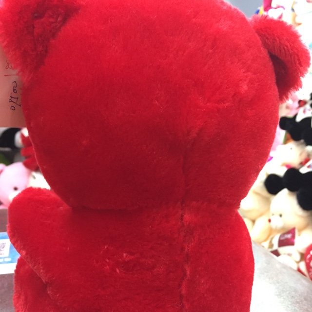 Hold a 25-centimeter bear on Valentine's Day details Picture