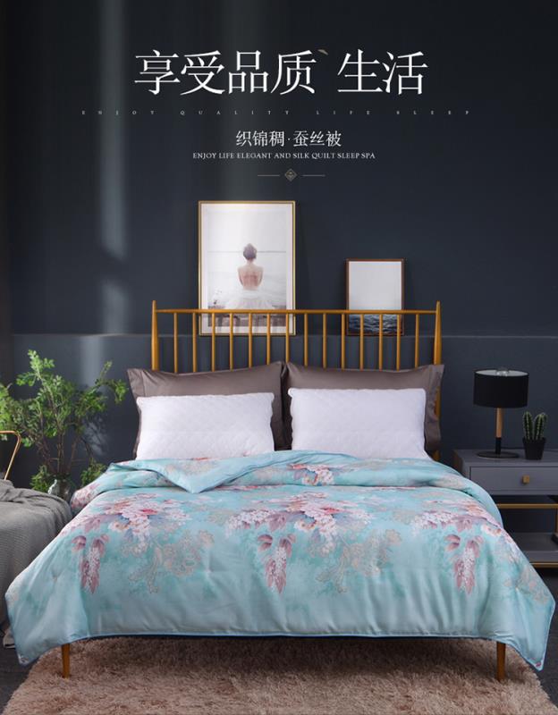 三农家纺新品四季被芯蚕丝被夏凉被空调薄被子丝绸春秋印花双人夏被，量大丛优。