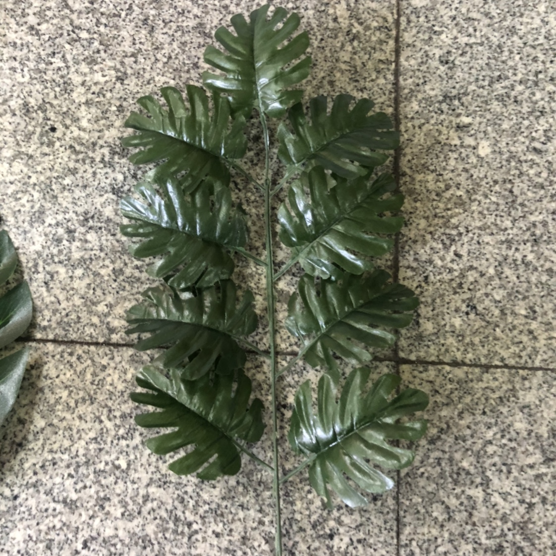 9叉龟背