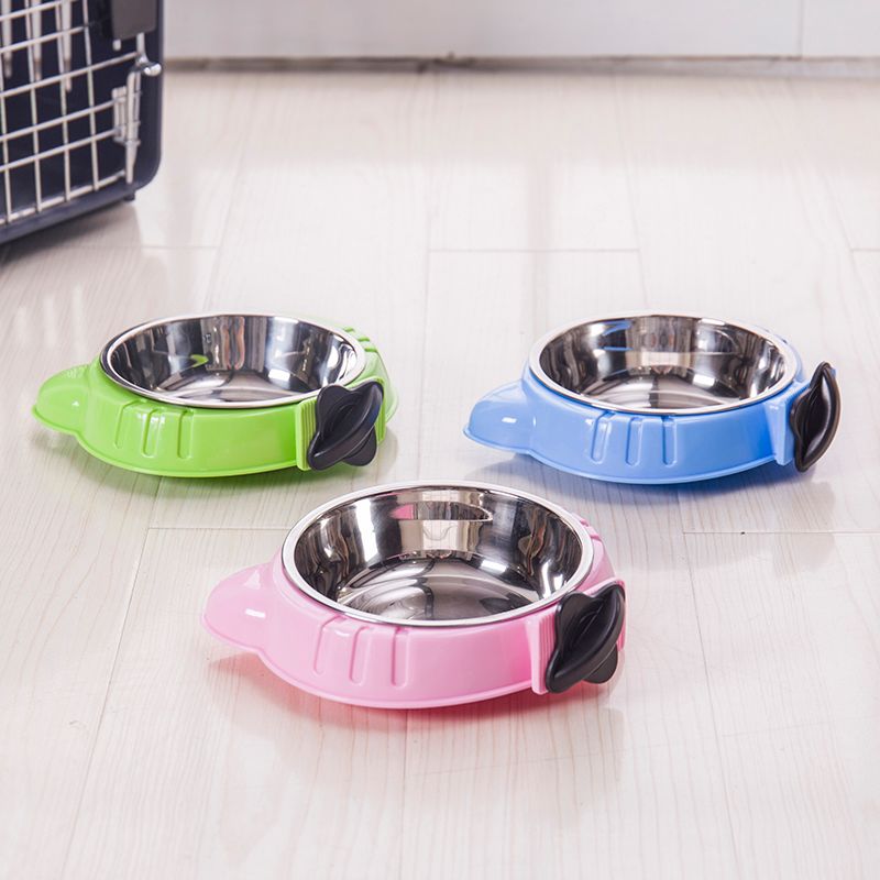 狗狗食具实物图