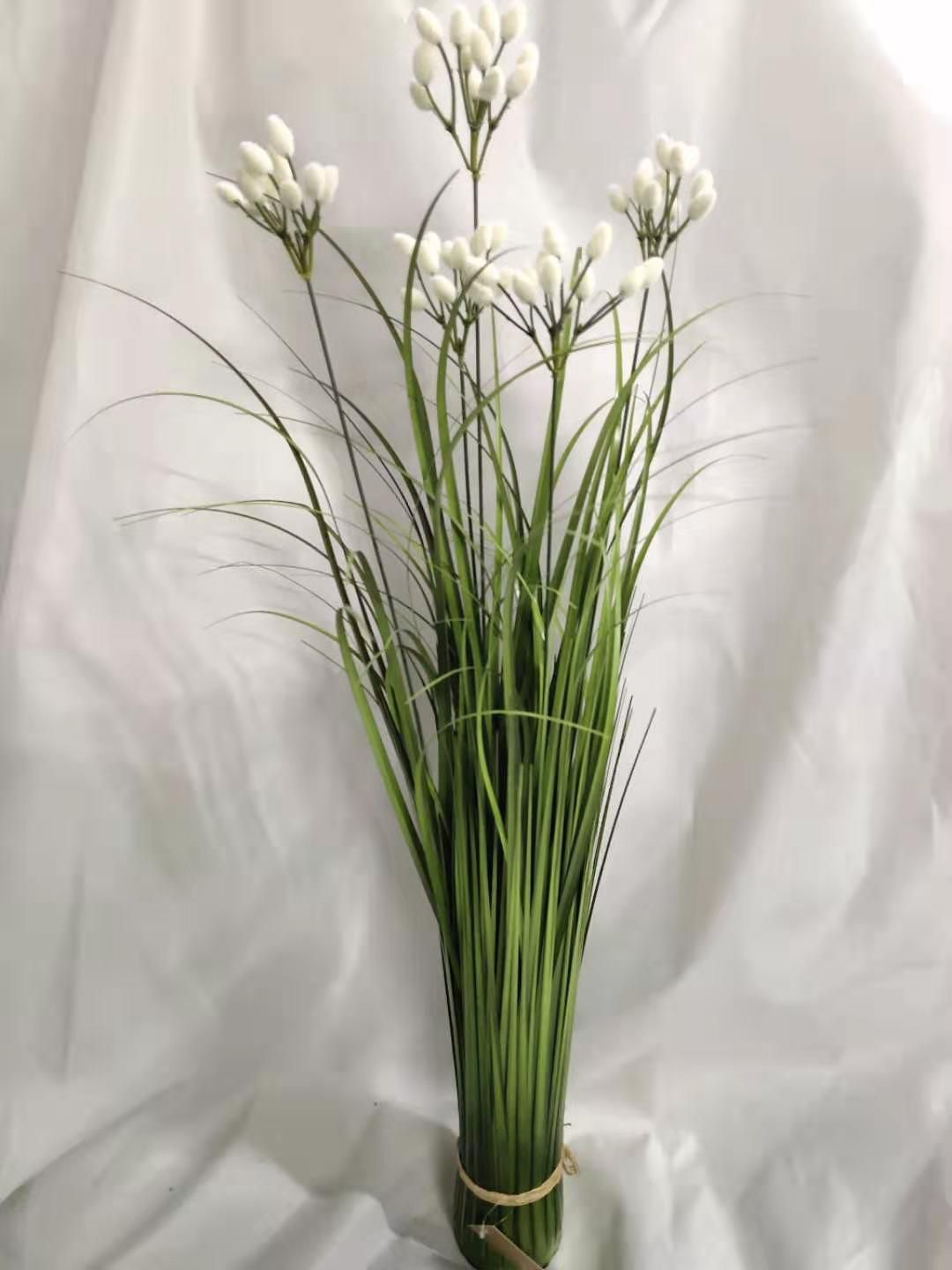 5 Buckets Of Silver Willow Grass