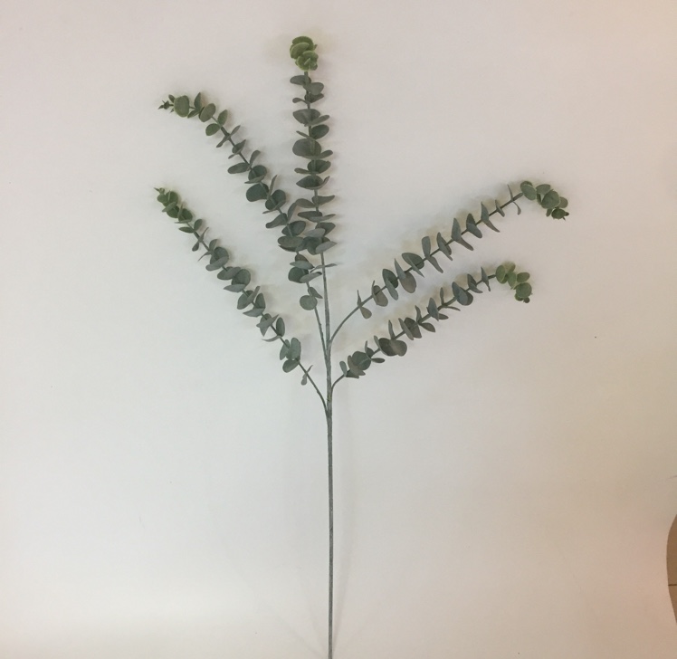 5叉发毛料金金钱叶尤加利叶软胶塑料花细节图