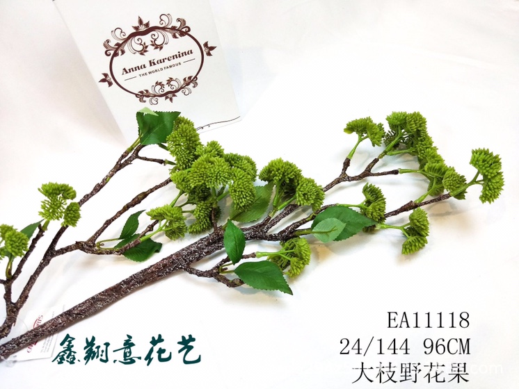 大枝野花果