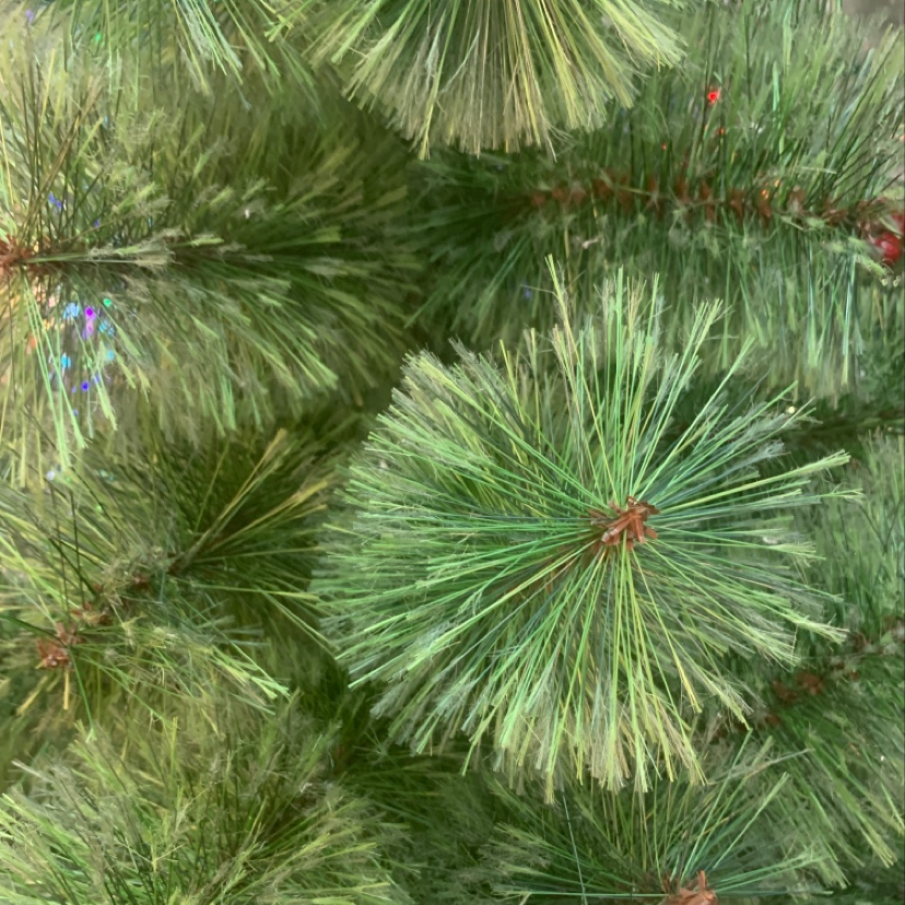 Yiyang Christmas Craft: 1.2 to 3 meters tall flowering pine needle trees with iron feet. Single-pack Christmas tree festive decoration details Picture