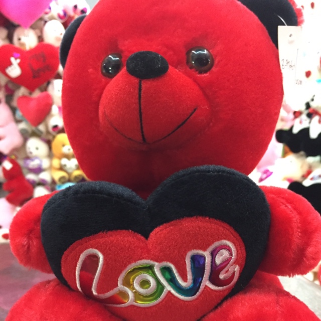 Hold a 25-centimeter bear on Valentine's Day