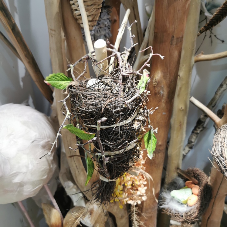 鸟笼宠物鸟笼子用品鸟笼子园艺鸟笼耐用仿真鸟巢图