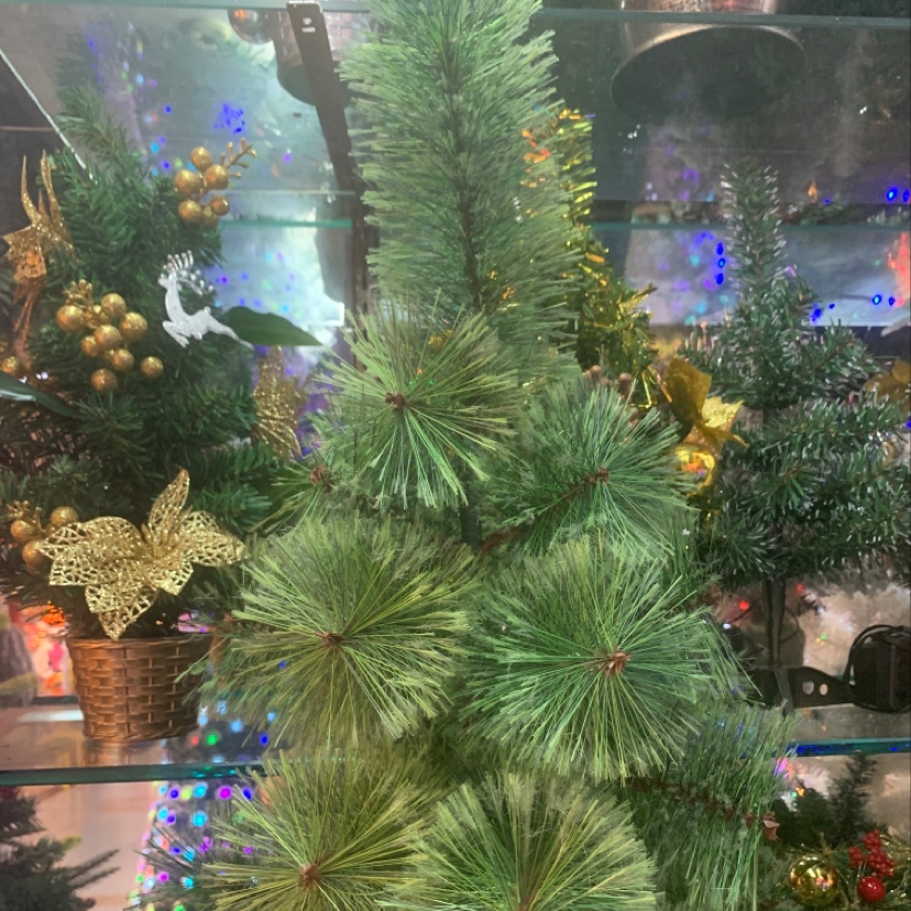 Yiyang Christmas Craft: 1.2 to 3 meters tall flowering pine needle trees with iron feet. Single-pack Christmas tree festive decoration Specification image