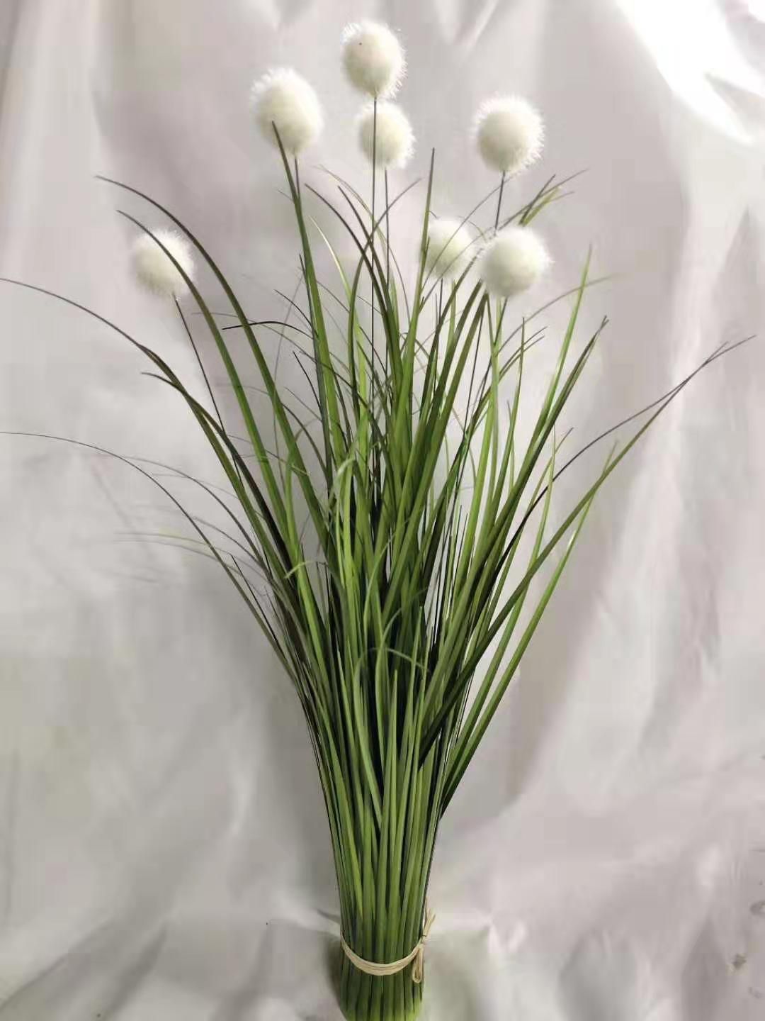 Seven buckets of hairy fruit grass are planted