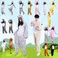 儿童节表演服儿童动物衣儿童动物衣服六一节道具服装12生肖衣服白底实物图