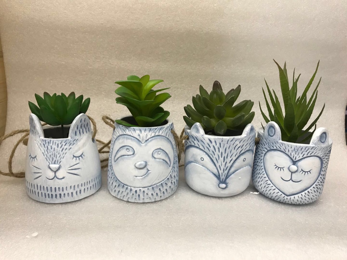 Animals hanging POTS thumbnail