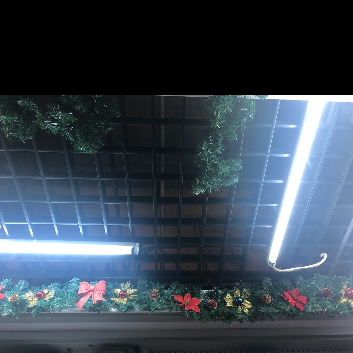 Flowers decorate the bell vine