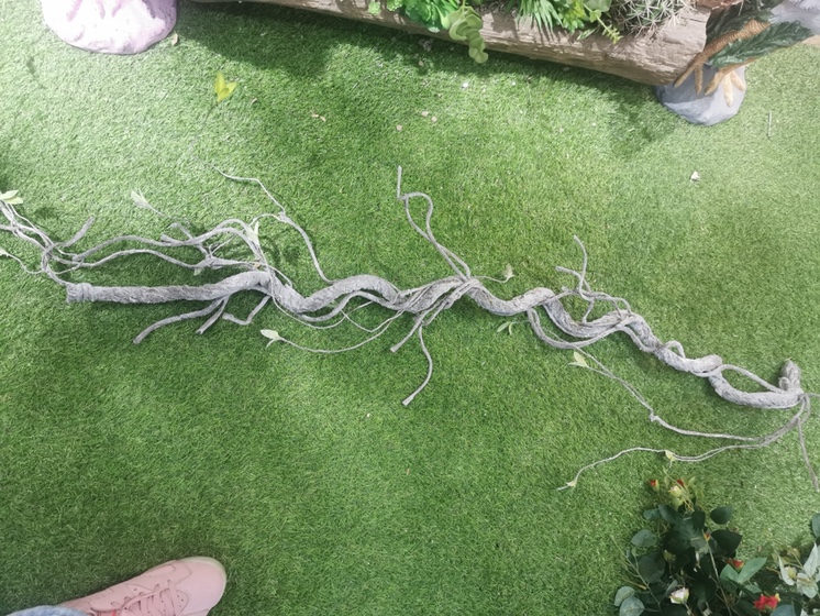 办公文化仿真园艺植物仿真饰品绿藤工艺品装饰