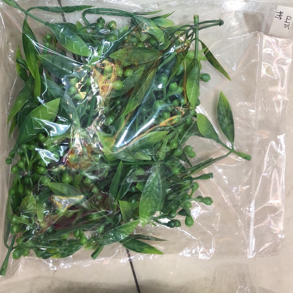 水草