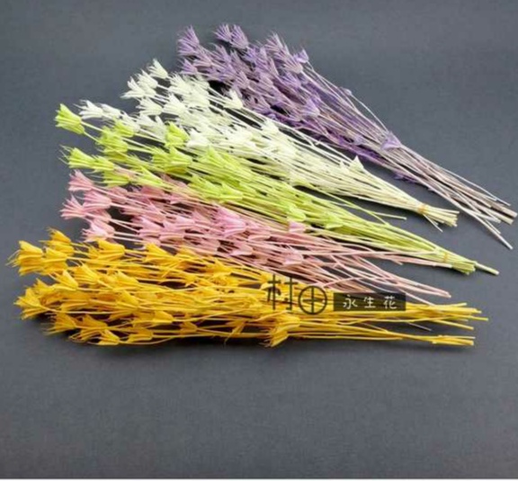 Simulation flower handicraft dried flower tree millet barley reed Queen Motherwort water willow dried flower immortal flower ash peony rose sunflower star anise acacia bean large flax thumbnail