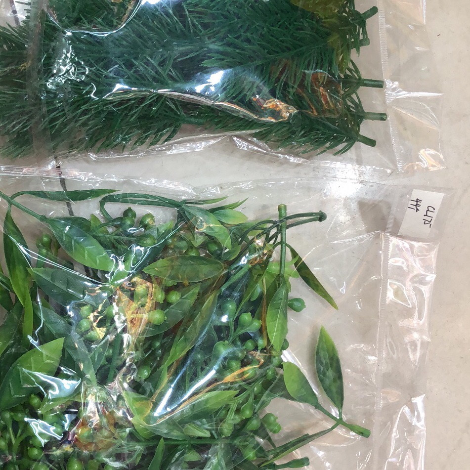 水草产品图