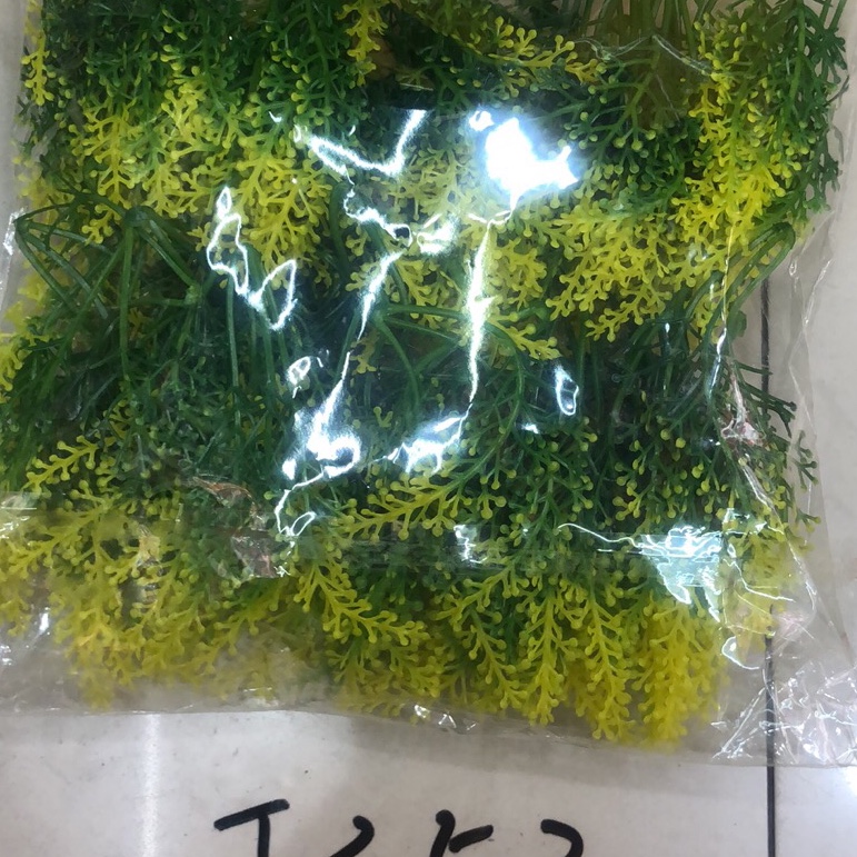J352水草